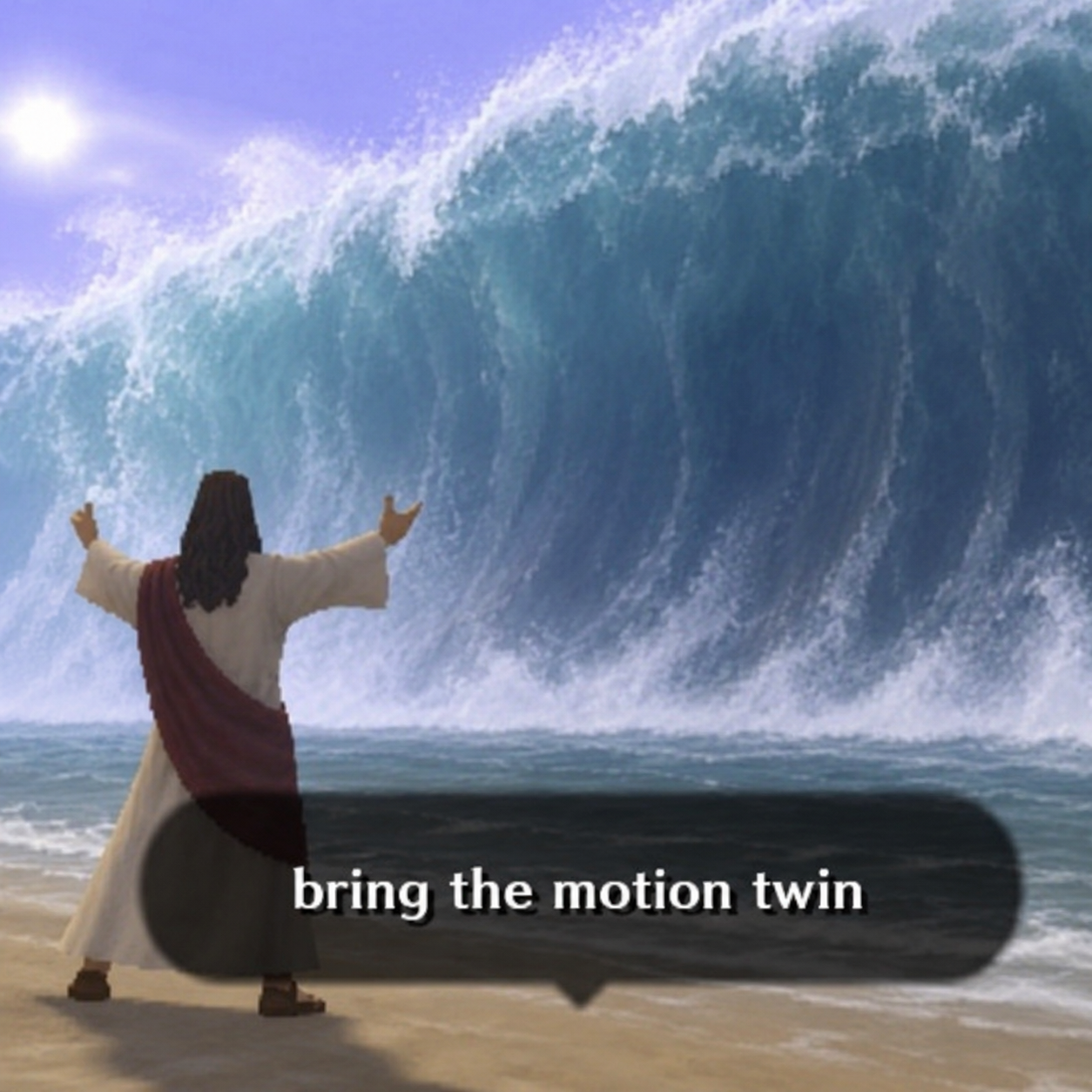 bring the motion twin