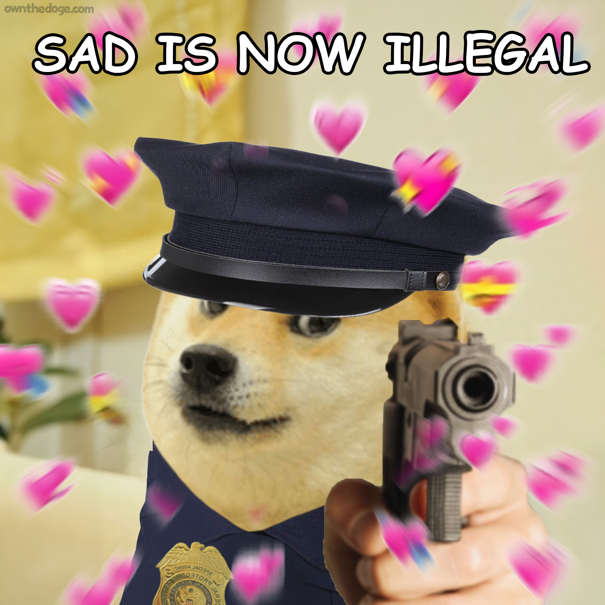 doge-sadisnowillegal.png