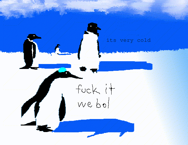 penguin bol