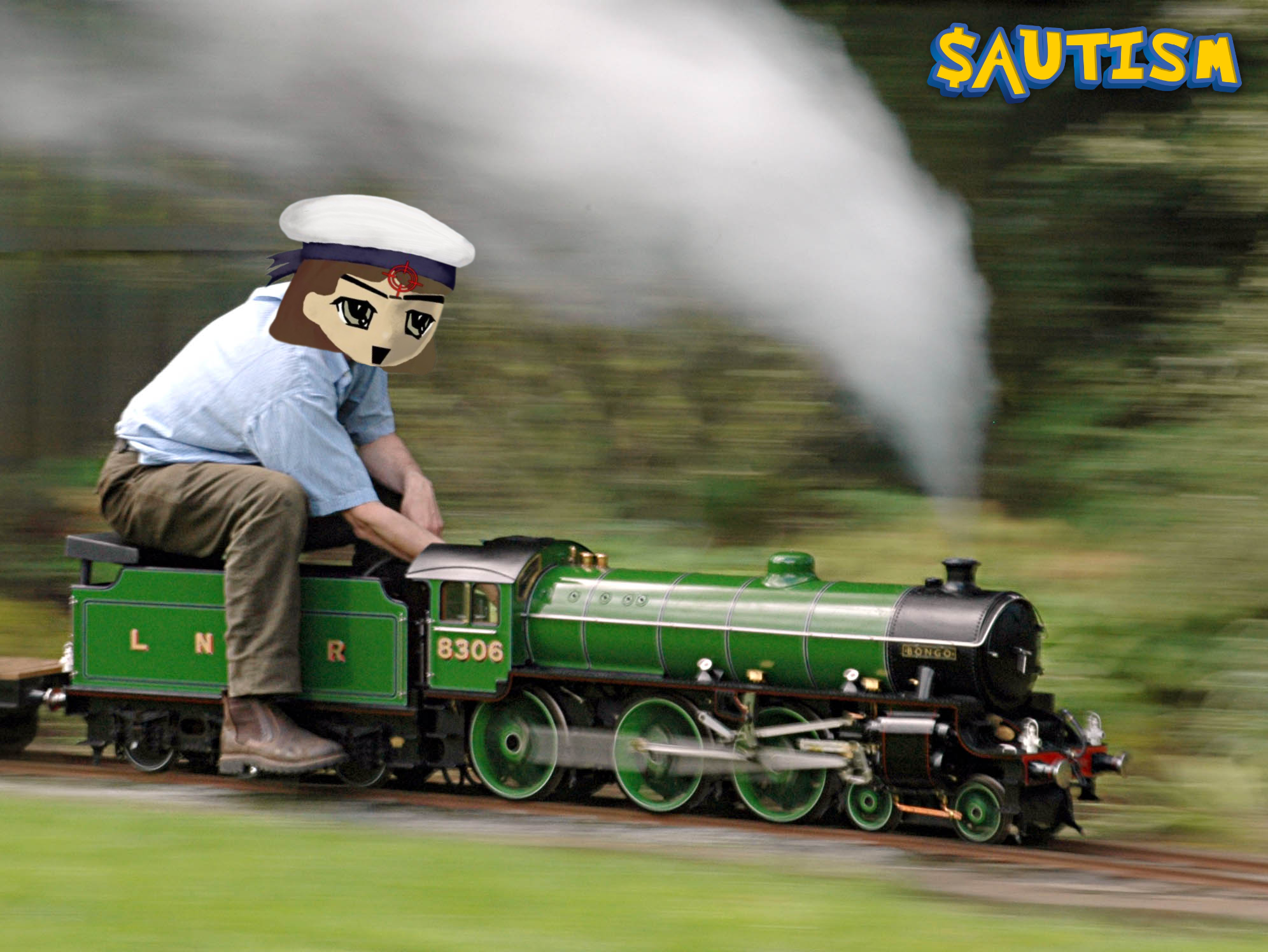 train beaver.png