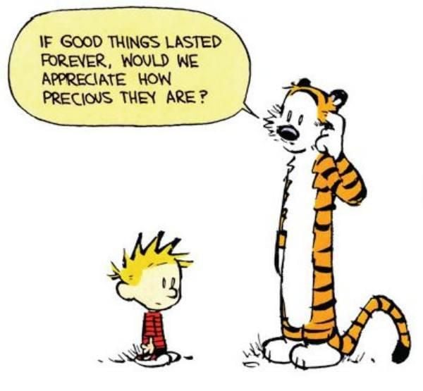 Calvin & Hobbes