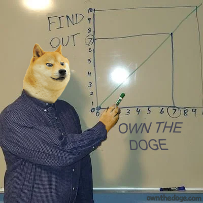 doge-ownthedoge-findout.png