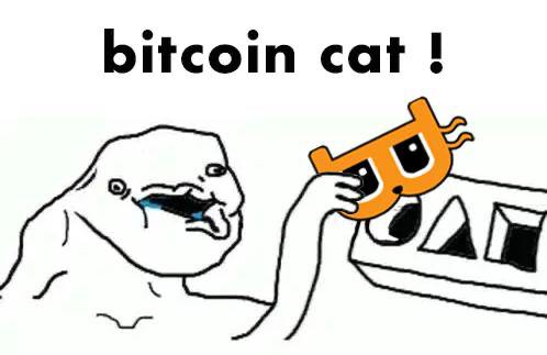 bitcoincat.jpg