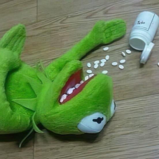 Kermit 5.jpg