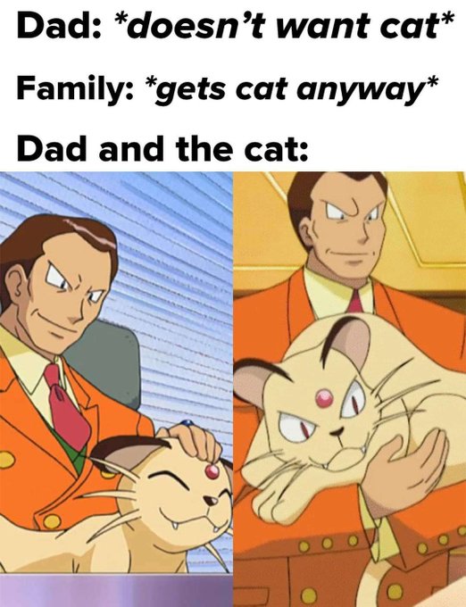 F2bK1OCXwAA9MG0.jpeg