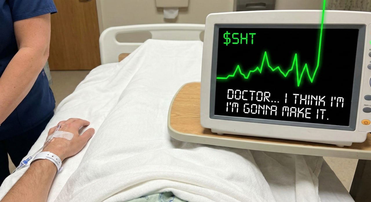 IMAGE 2026-02-09 15:48:33.jpg