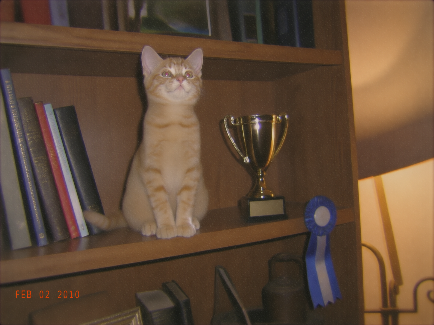 sirius-80-first-place.png