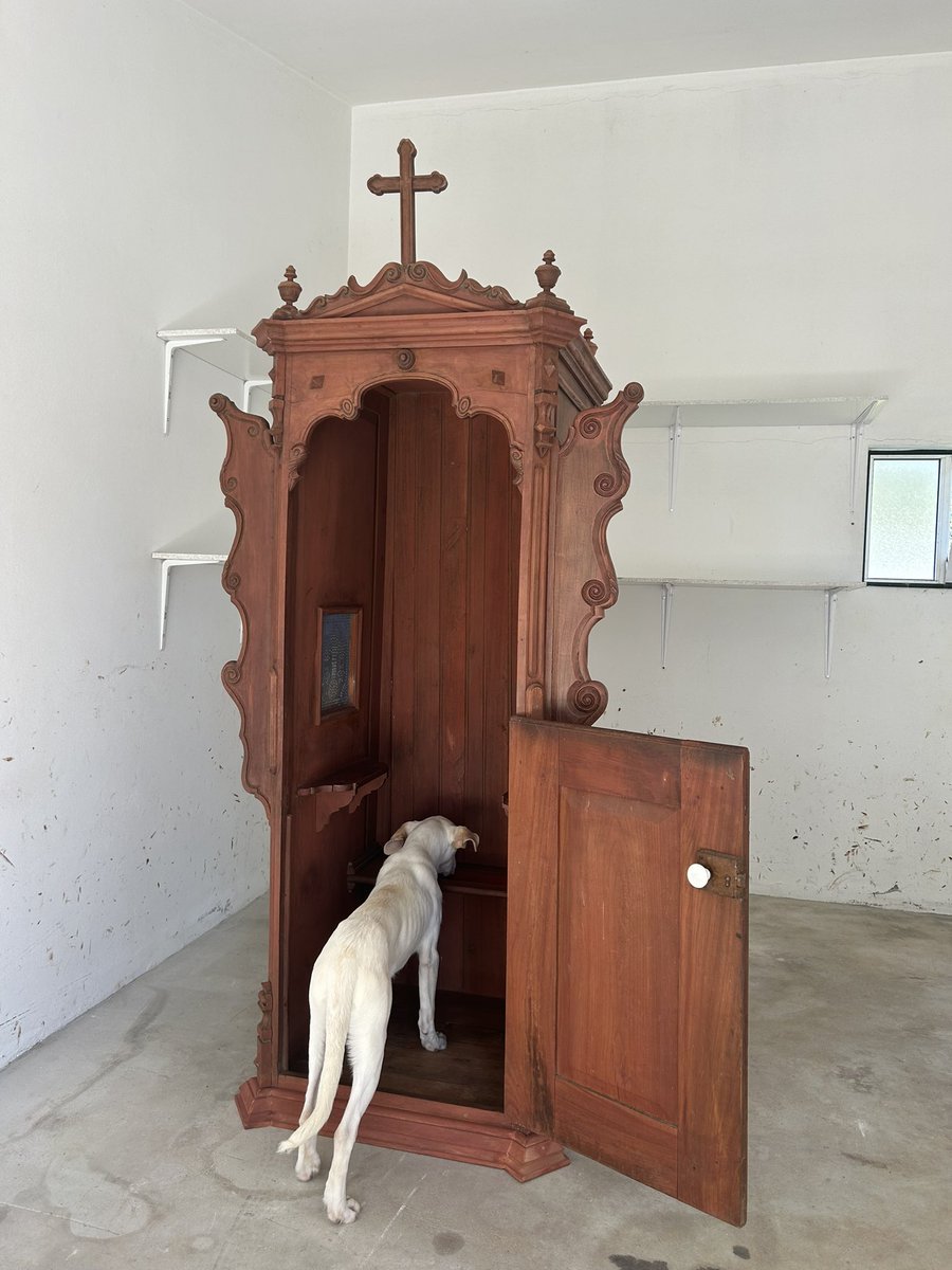 MEMECON has today acquired a RWA!🙏👼

Say hello to the MEMECONFESSION booth, cabine de confissão! 🔥⛪️ dating back to 1910 this booth has heard many confessions! But never the confessions of memecoin degens! 🐸

Get ready to confess your sins! We know you have a lot of them! 😈 https://t.co/xHINWLyc7N