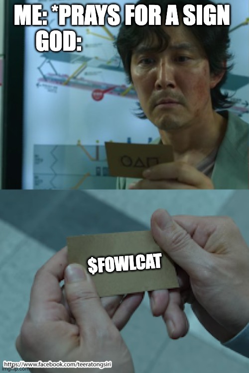 $FOWLCAT name squid games.JPG