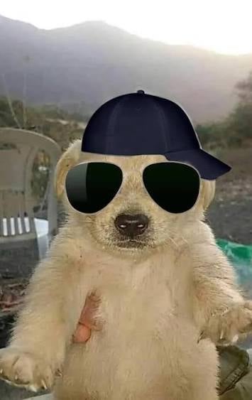 IMG_3883.jpeg