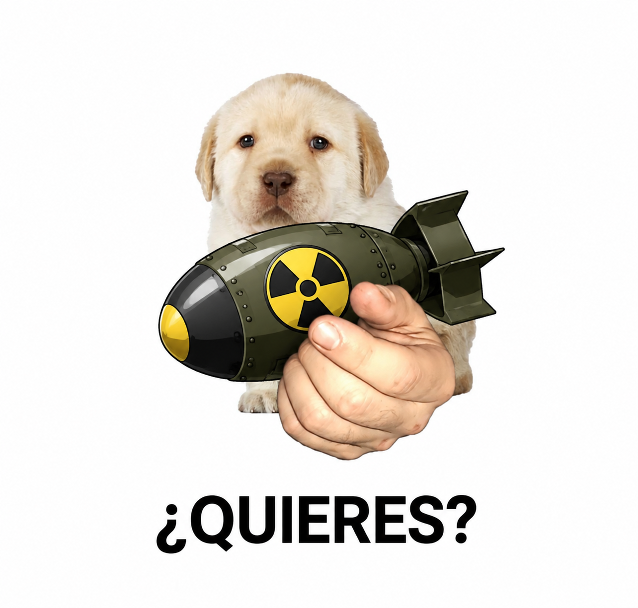 03355C0C-8A7D-4B40-99EF-4E922A3E5A57.png