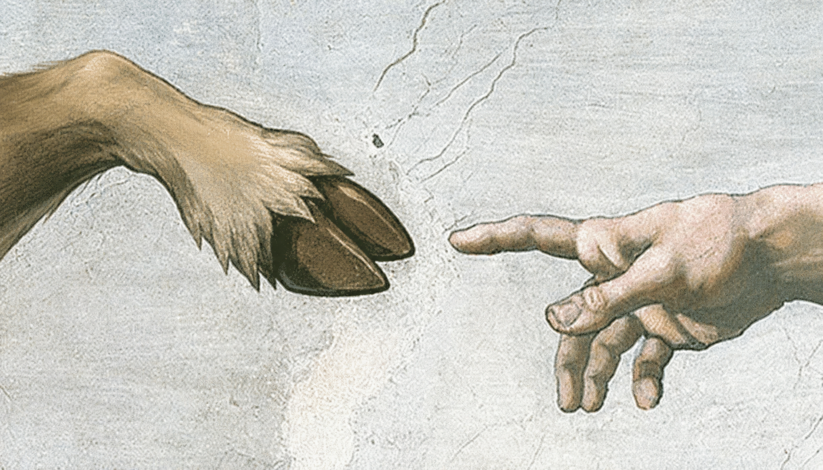 touch.png