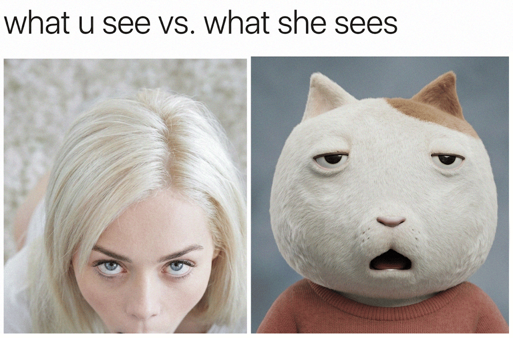 43.png