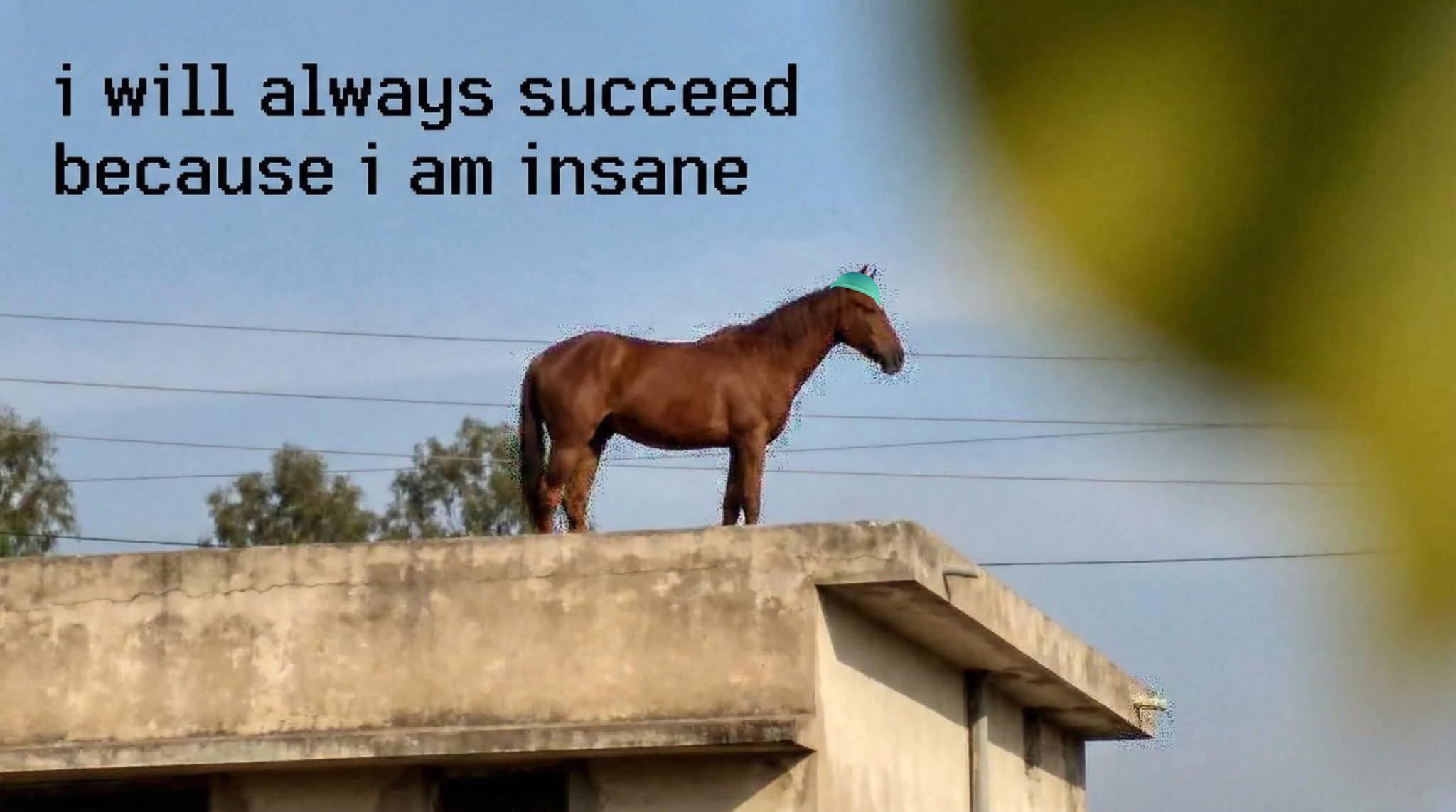 i will always succeed because i am insane