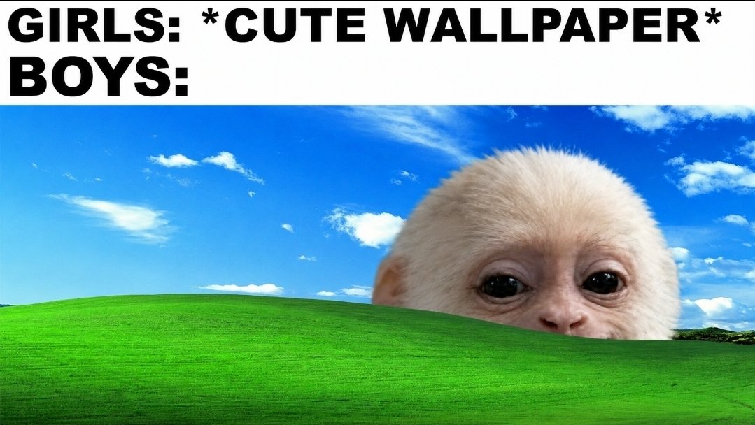 HManIt5WYAA4rXX.jpeg