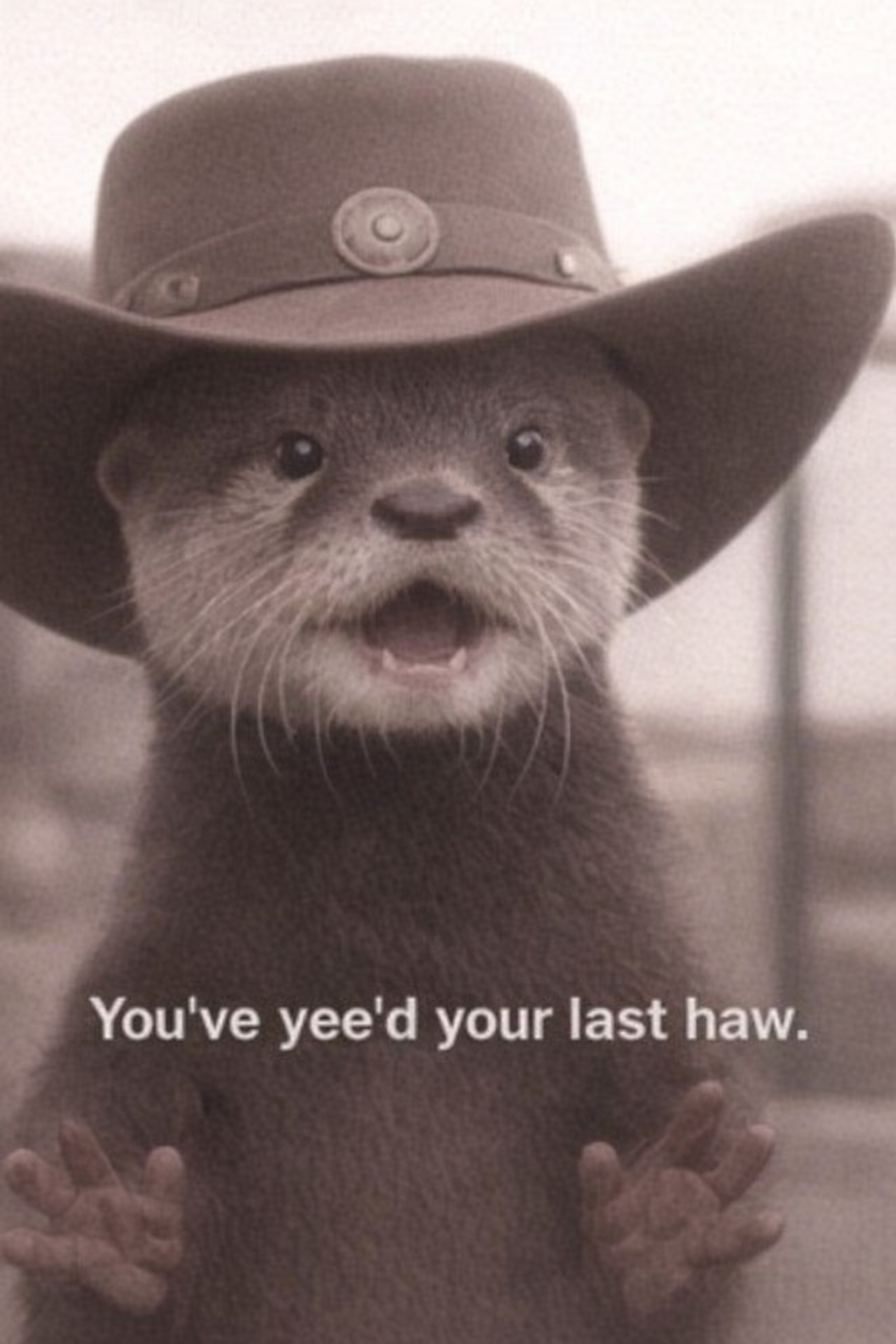 hf_20260411_034257_f75204e2-5844-4673-94f7-bdbff5c28b4c (1).png