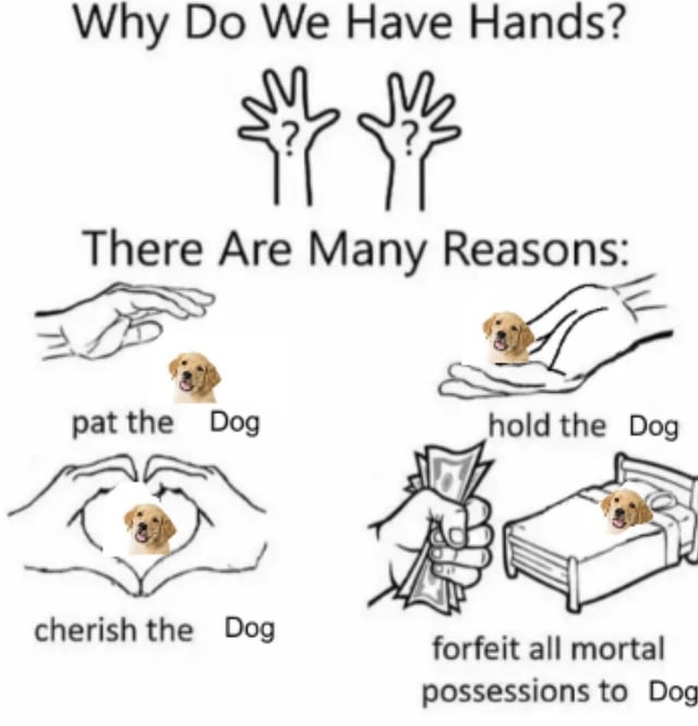 cherish-the-dog-v0-nsos5f7jmr6b1.jpg