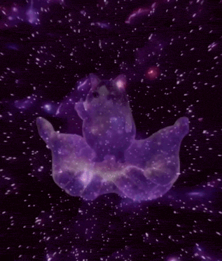 IMG_8396.gif