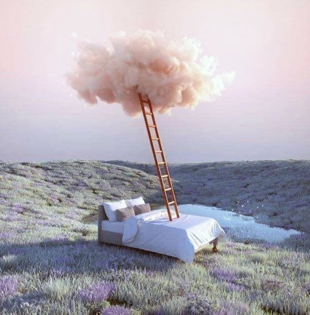 $dreamcore