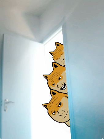 woge-door.png