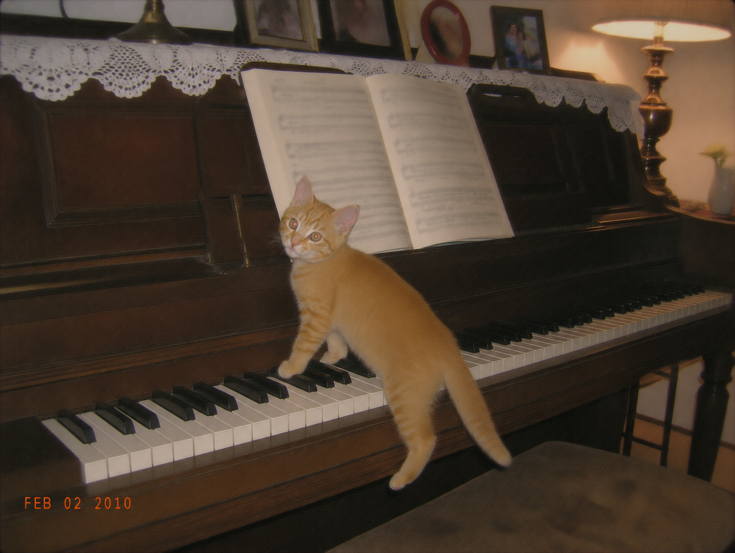 sirius-74-piano-recital.png
