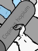copious hopium