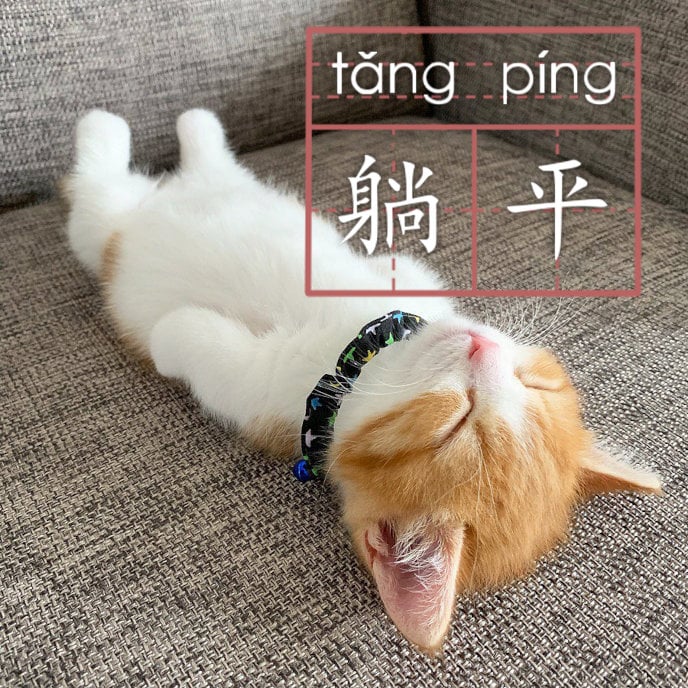 Tang-Ping-Cat-main-image-688x688.jpg