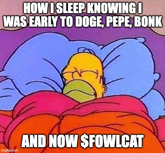 $FOWLCAT how i sleep.JPG