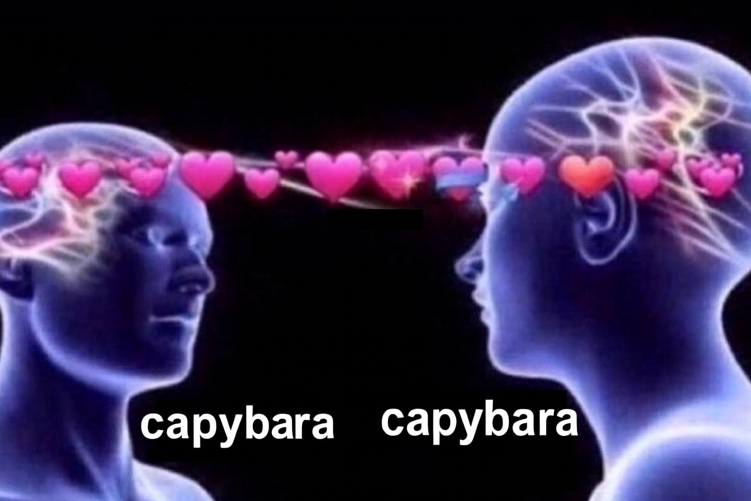 ChatGPT Image Oct 18, 2025, 04_57_20 PM.png