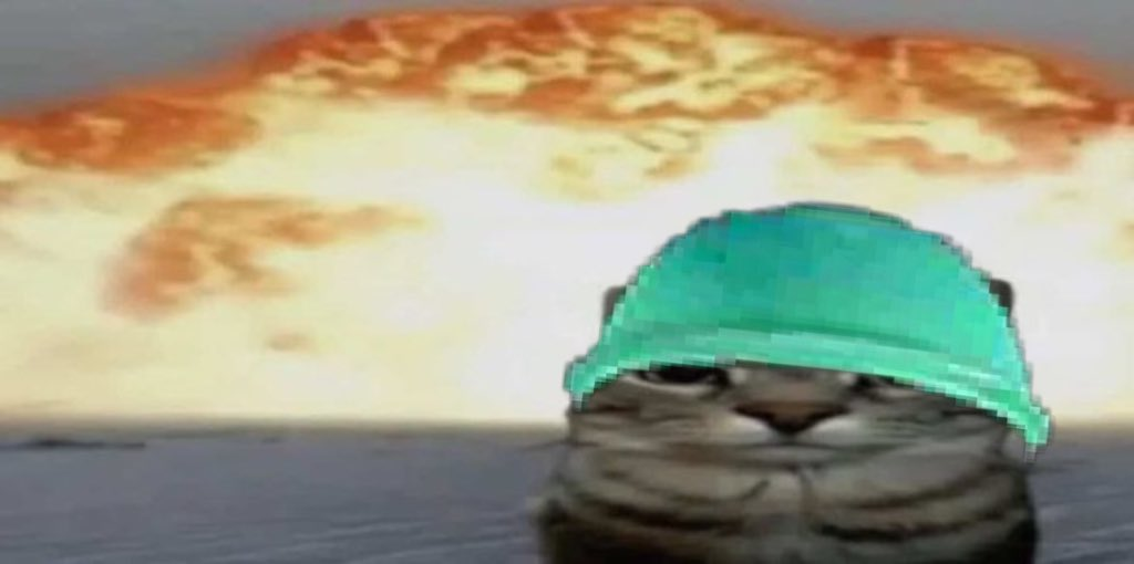 badass cat