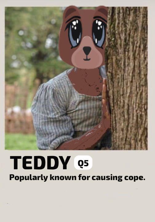 photo_2025-12-12 23.41.18.jpeg