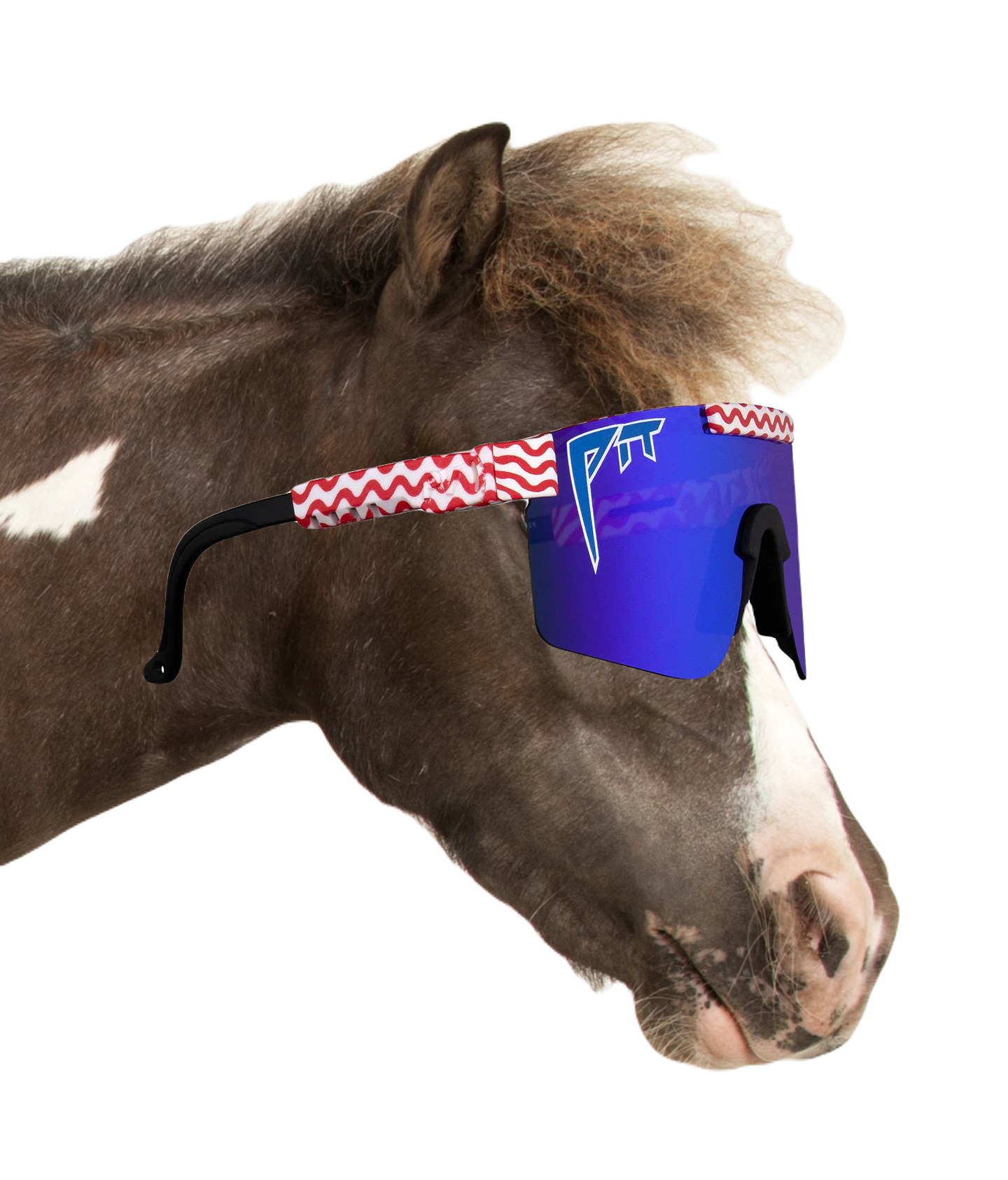 horse_face_vipers.png