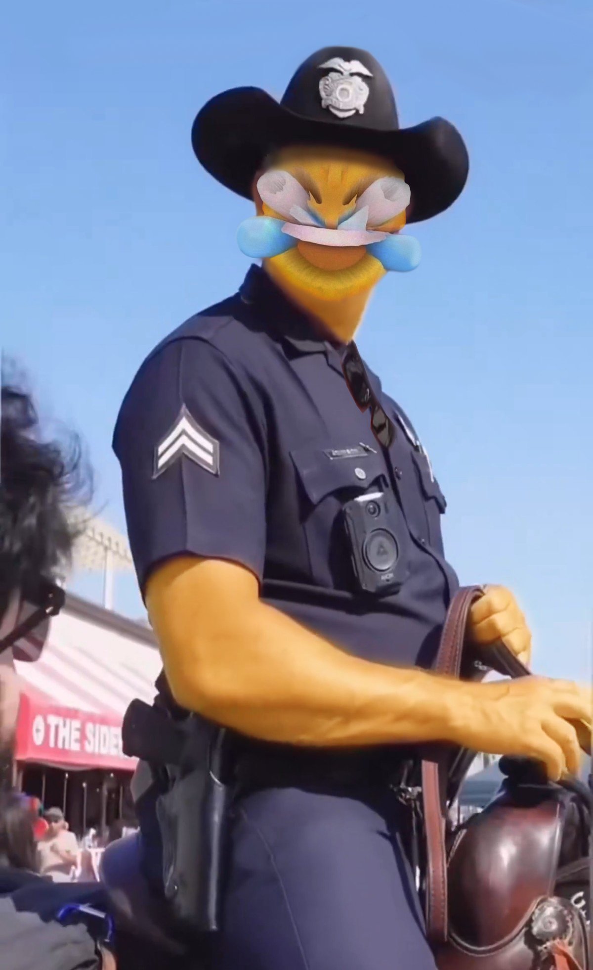 LMAO!_cop.jpg