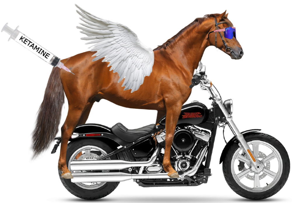 horse_on_harley.png