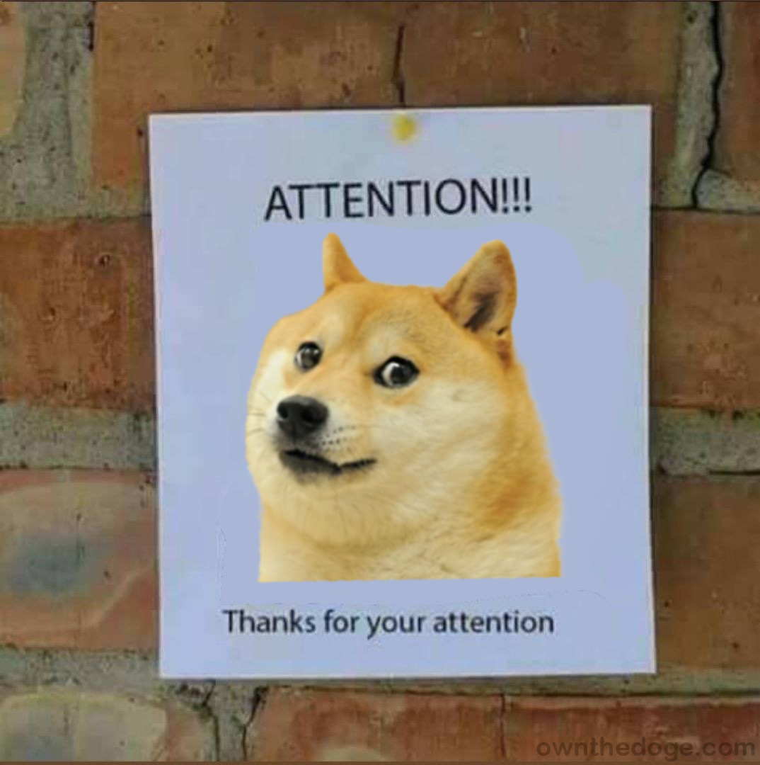 doge-attention-sign_.png