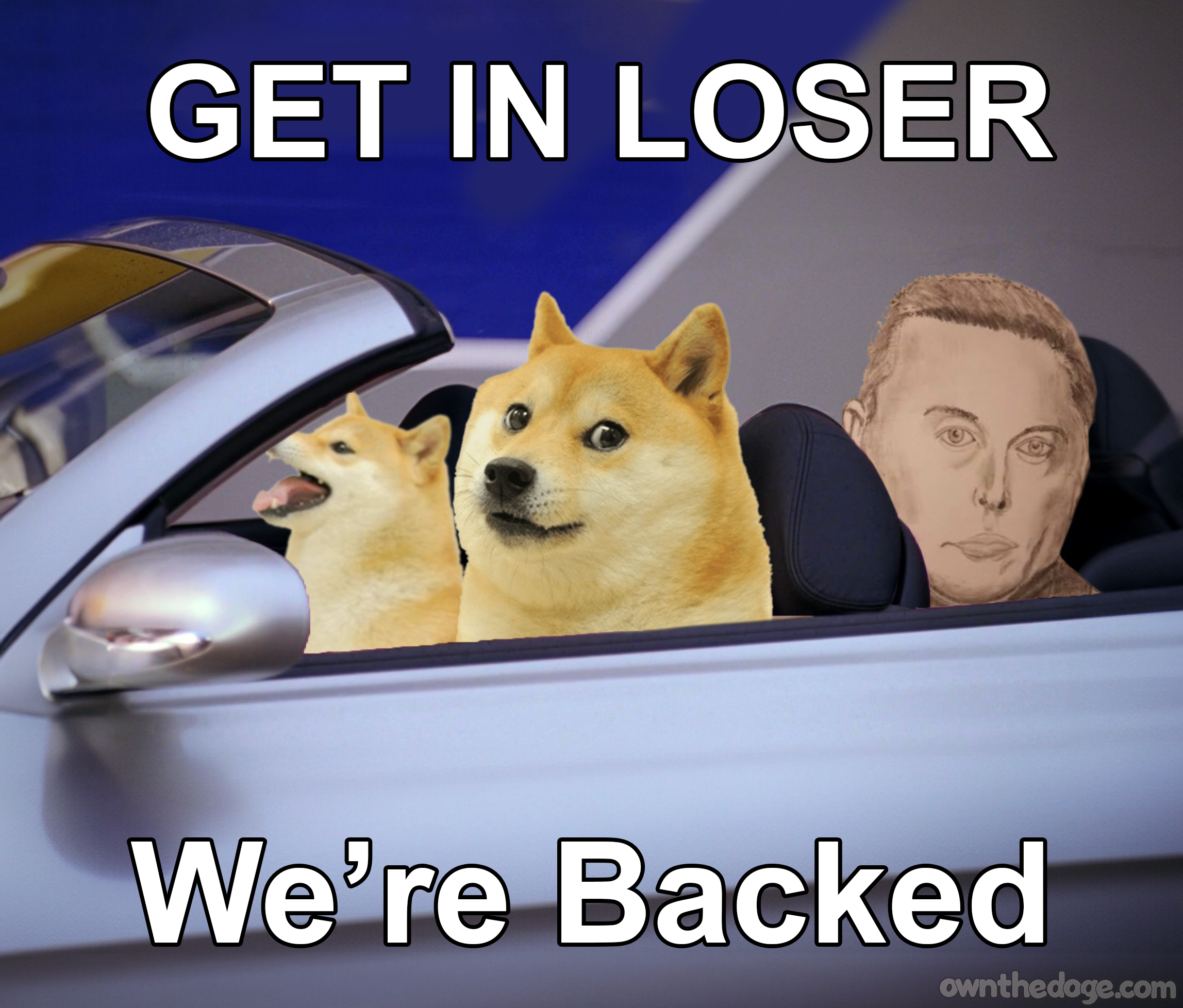 doge-get-in-loser-backed.png