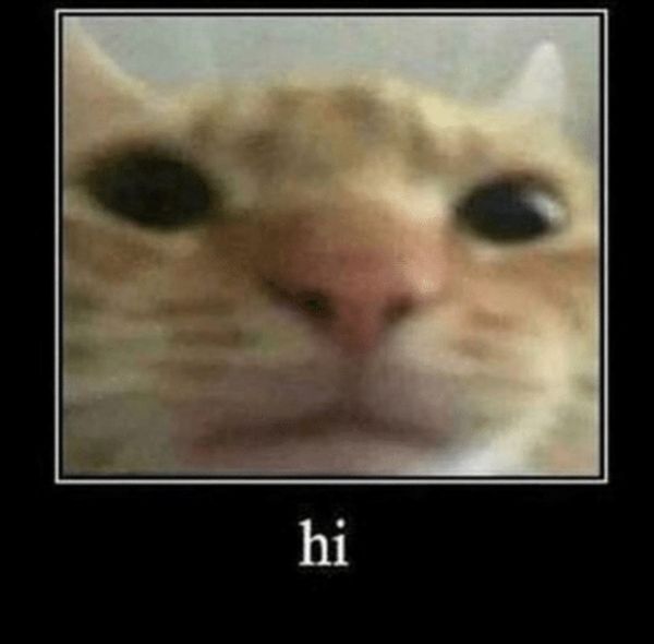HORKn14boAA8zQu.jpeg