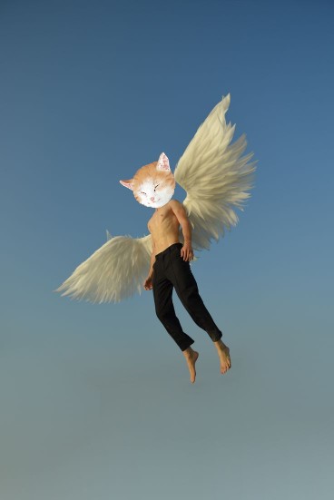 Tang ping cat with wings
