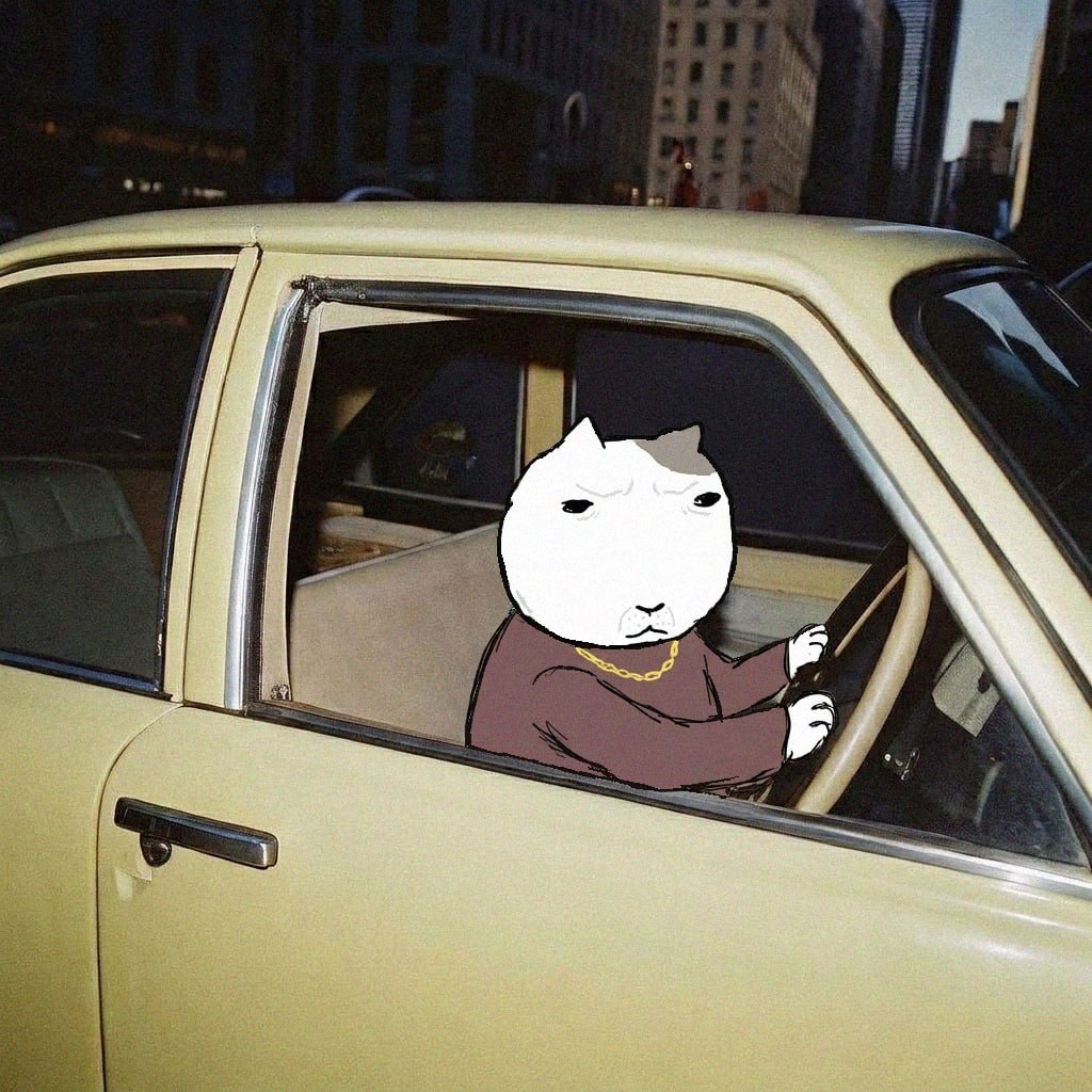 2026-04-13 16.35.44.jpg