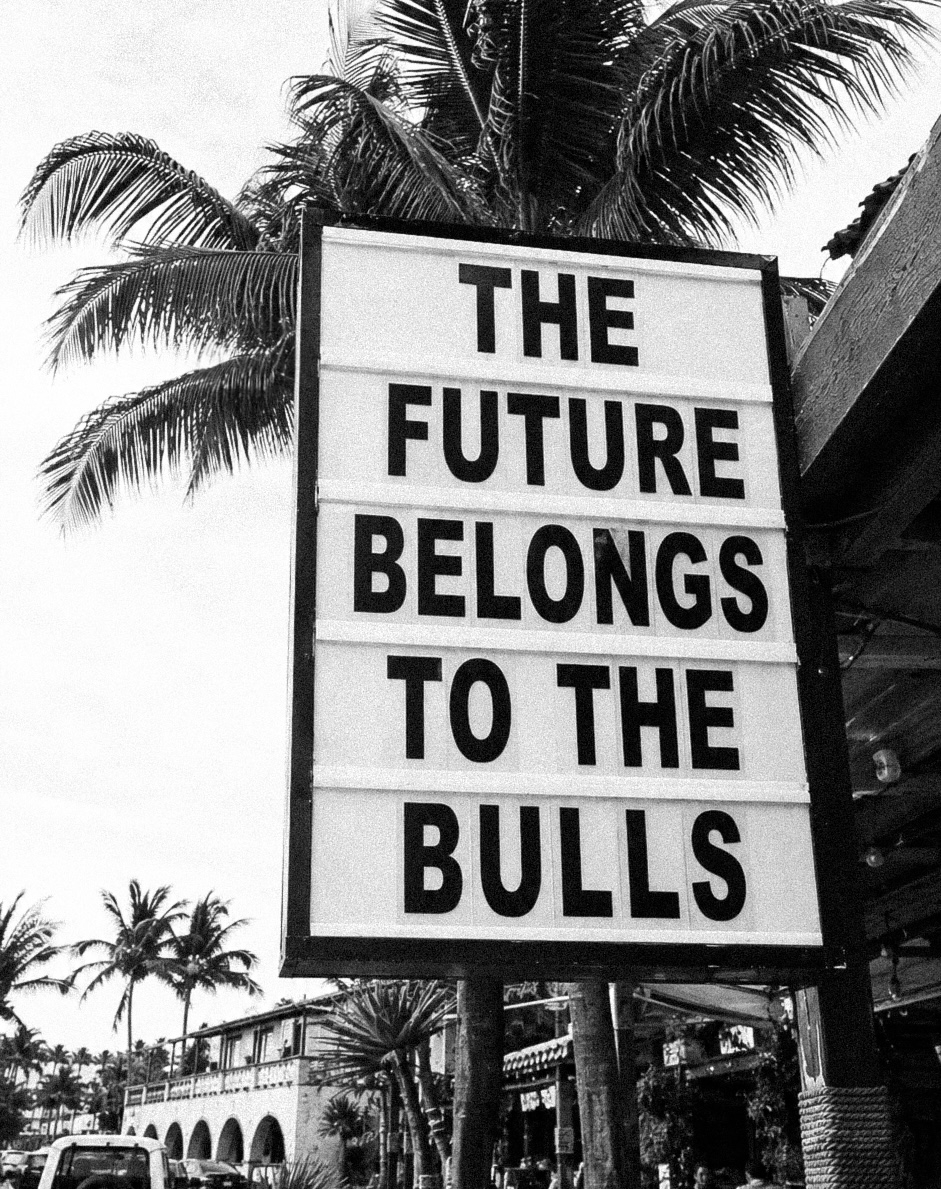 The future belongs to the bulls