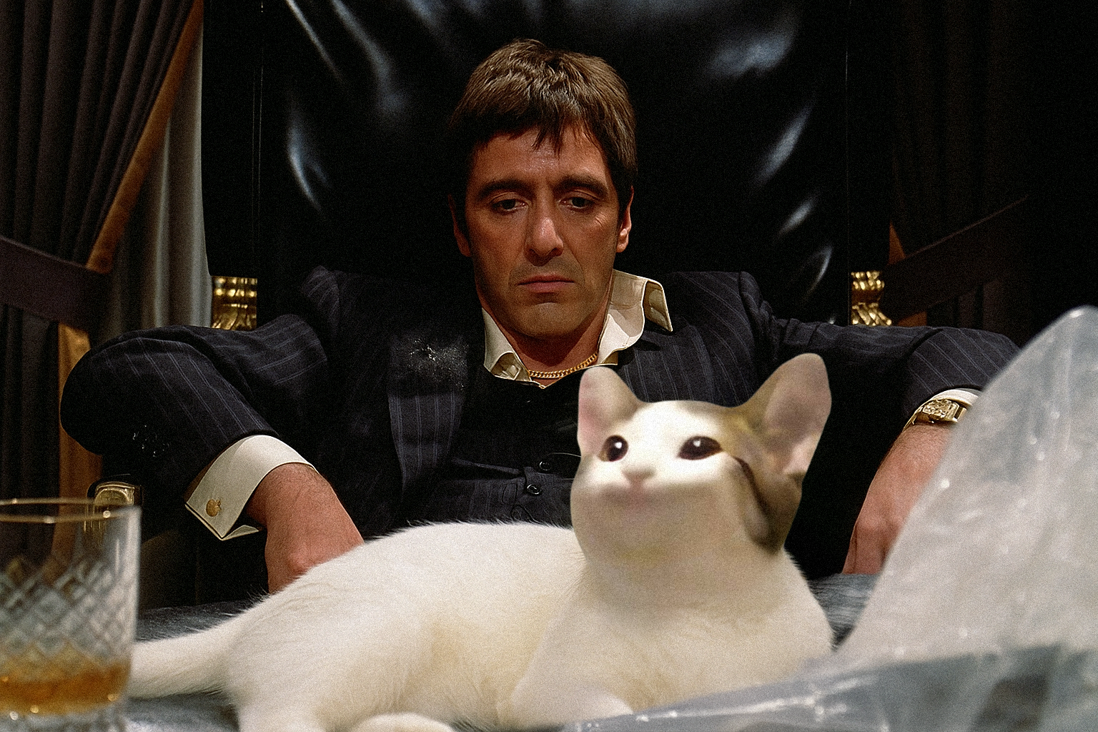 Scarface Popcat