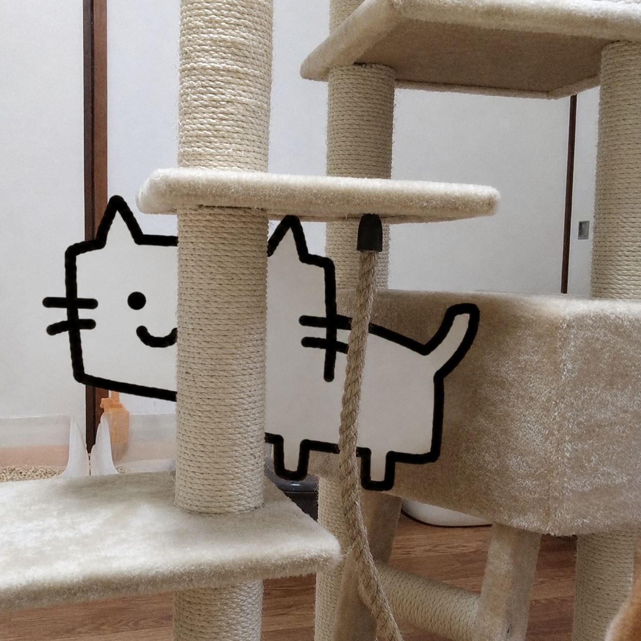 1000041584.png