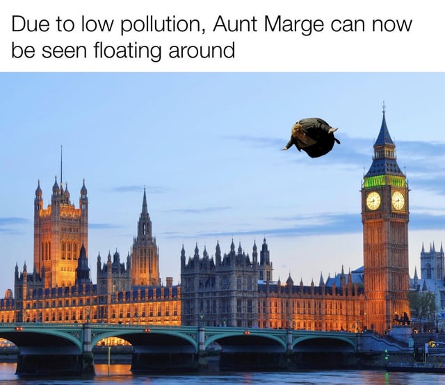 wn1fhs5l0mr41.jpg