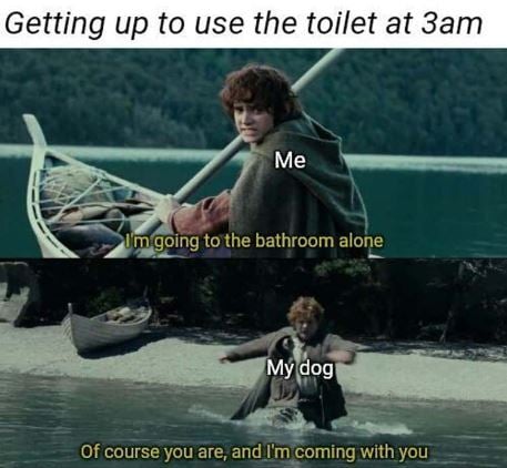 night pee.JPG