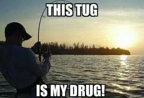 tug is my drug.jpg