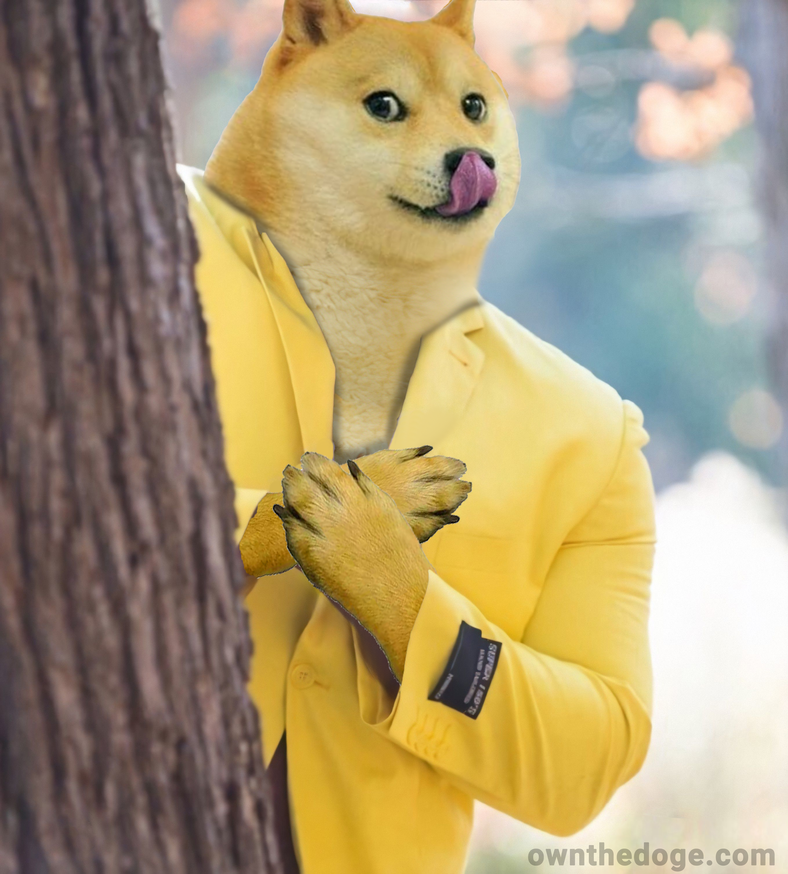 doge-rubbing-hands.png