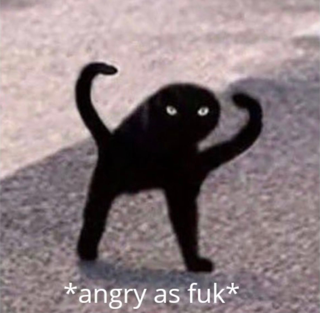 Cursed Cat _ Angry As Fuk _ ъуъ съука.jpg