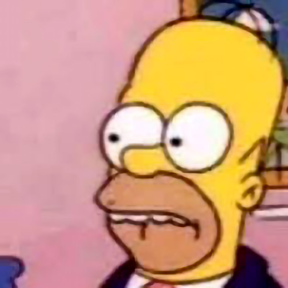 Homer 1.jpg