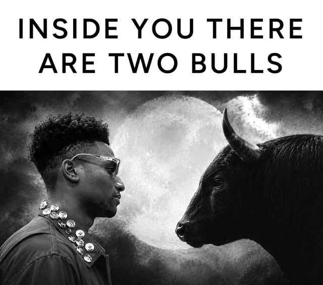 Two Bulls