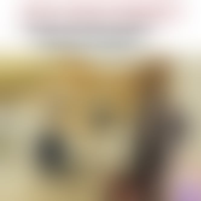 F3tYPjoWoAAuVdv.webp